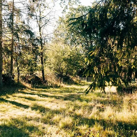 Apartment Holzchalet mitten in der Natur gern mit Hund&Pferd *