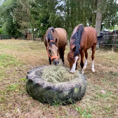 Holzchalet mitten in der Natur gern mit Hund&Pferd Sangerhausen
